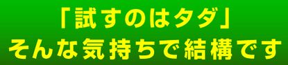 阿部辰巳_試すのはタダ