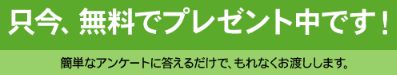 ボンちゃん_只今無料でプレゼント中