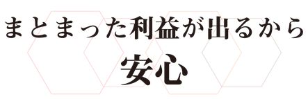 ケイモリ_まとまった利益が出るから安心