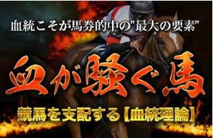 血統ウイナーズ血が騒ぐ馬