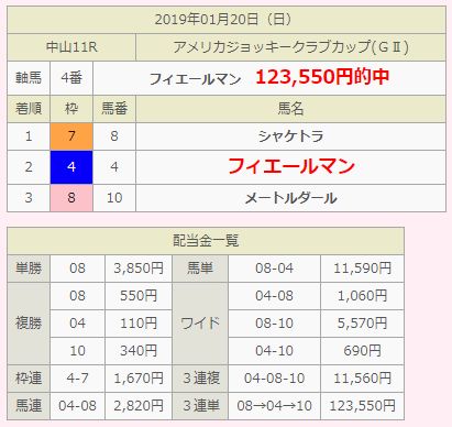 テキダン_的中実績01