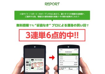 リポート(REPORT)の画像