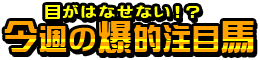 今週の爆的注目馬